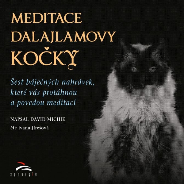 Meditace dalajlamovy kočky