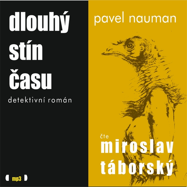 Dlouhý stín času