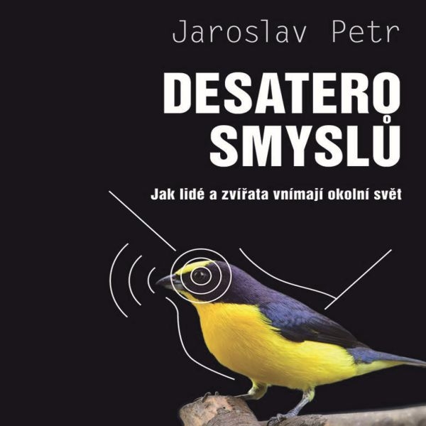 Desatero smyslů